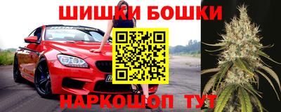 крисы Дубна