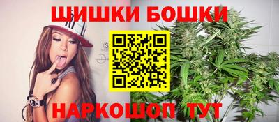 крисы Дубна