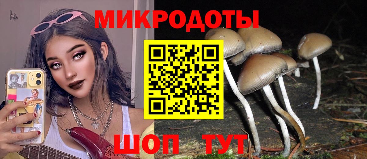 Галлюциногенные грибы Psilocybe  Вход с VPN  где продают наркотики  Магадан 