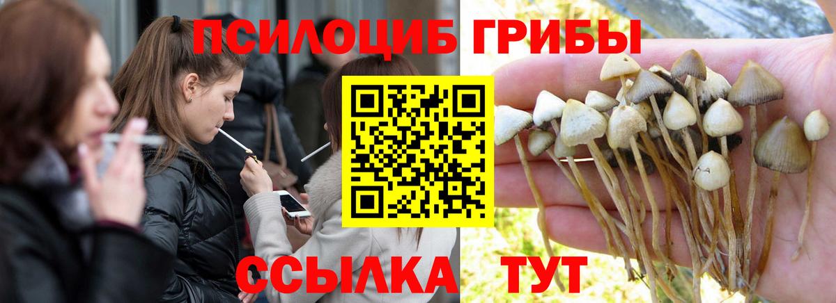 Галлюциногенные грибы Cubensis Магадан
