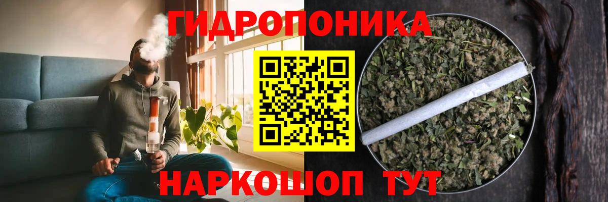 Конопля семена Магадан